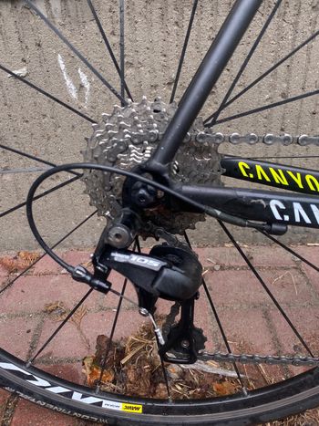 Used Canyon Endurace AL 6.0 2017 Road & Gravel — image 2 of 4