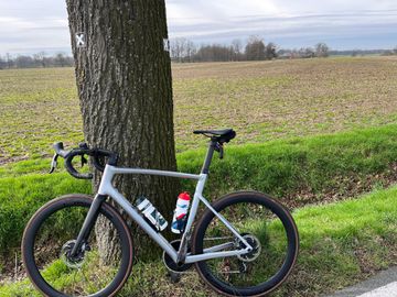 Gebrauchtes Specialized Allez Sprint Frameset 2023 2023 Road & Gravel, Hellgrau — Bild 3 von 4