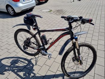 Used Rower Wheeler Protron 420 2013 Mountainbike — image 2 of 8