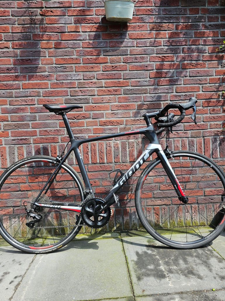 Giant TCR Advanced 2 used in L | buycycle USA