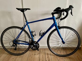 Trek - Domane AL 2 2020, 2020