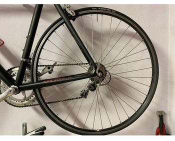 Used Wilier Escape 2008 Road & Gravel, Black — image 5 of 6