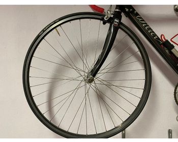 Used Wilier Escape 2008 Road & Gravel, Black — image 6 of 6