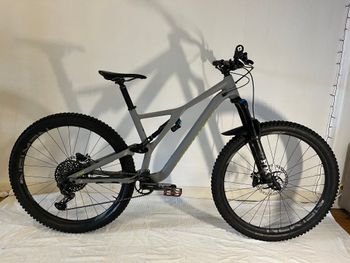 Specialized - Men's Stumpjumper Comp Alloy 29 – 12-speed 2019, 2019