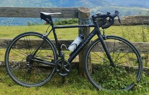 Canyon - Ultimate AL SLX, 