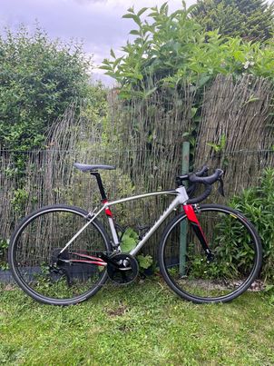 Specialized - Allez DSW SL Comp 2016, 2016