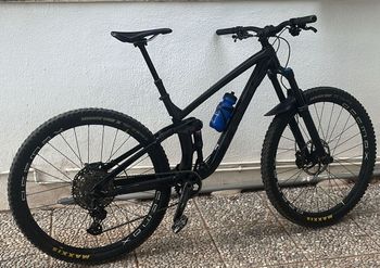 Trek - Fuel EX 8 29 2019, 2019