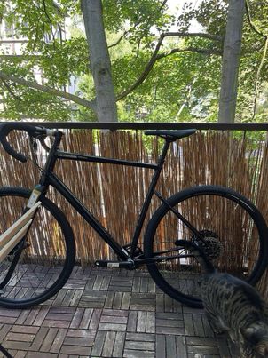 Cannondale - Topstone 4 2023, 2023