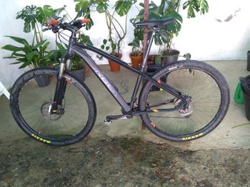 Orbea - MX 10 29 2018, 2018