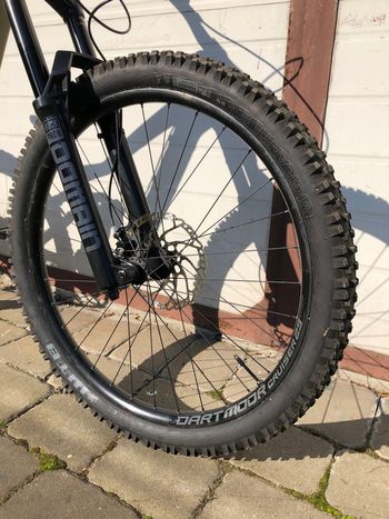 Used Dartmoor thunderbird 2023 Mountainbike, Light Gray — image 8 of 10