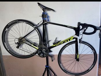 Giant - TCR Advanced 1 2016, 2016