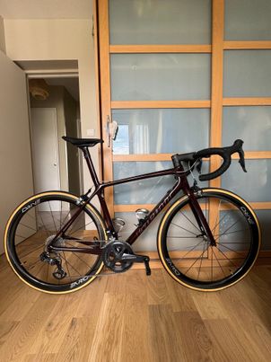 Giant - TCR Advanced SL, 2022