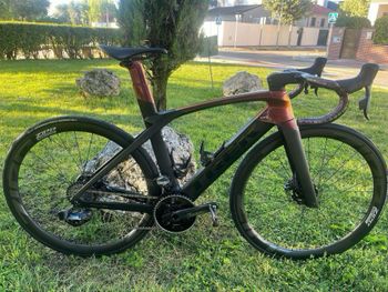 Trek - Madone SLR 7 Disc 2019, 2019