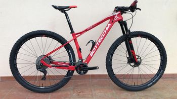 Bottecchia, Ortles 297+