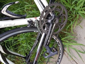 Brugt Pinarello FP Quattro 2013 Road & Gravel — billede 2 af 6