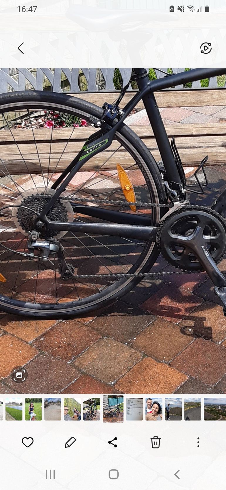 Used Specialized Roubaix SL4 2016 2016 Road & Gravel, Green — image 3 of 3