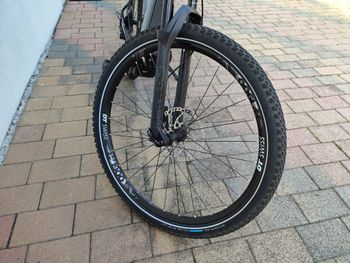Used Trek Powerfly 7 2019 Mountainbike, Hellgrau — image 18 of 37