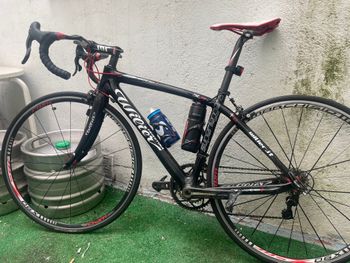 Wilier - Triestina centro 1, 2011