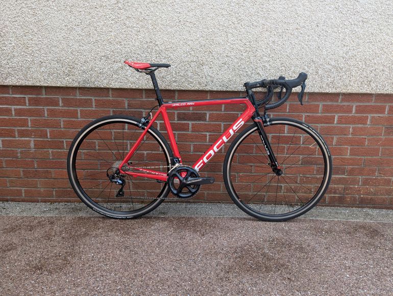 Focus Izalco Max used in 54 cm | buycycle BG