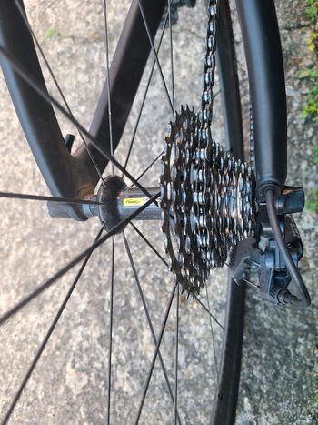 Brugt Bianchi Aria Ultegra 2019 2019 Road & Gravel — billede 6 af 13
