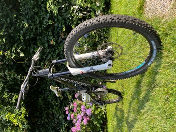 Used Mondraker Plunder R 2007 Mountainbike, Black — image 1 of 4