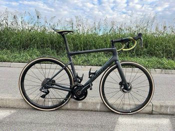 Specialized - S-Works Tarmac SL6 Disc - Dura Ace Di2 2019, 2019