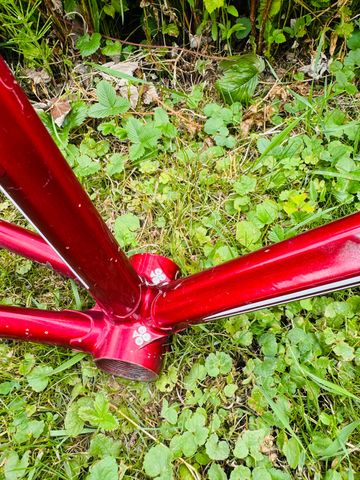 Used Colnago Master Del Tongo 1983 Road & Gravel, Red — image 5 of 20