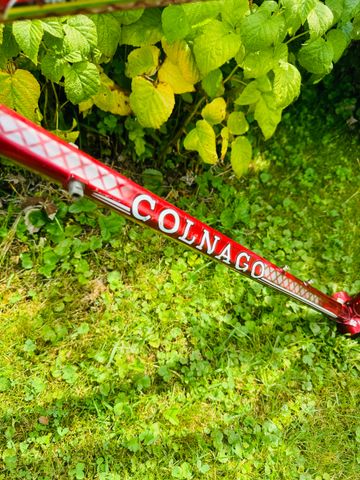Used Colnago Master Del Tongo 1983 Road & Gravel, Red — image 17 of 20