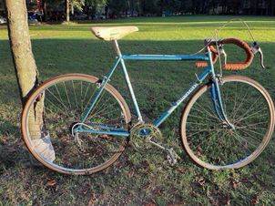 Bianchi - Tipo Corsa 2 2013 Frameset, 2013