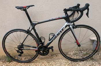 Giant - TCR Advanced 2 2019, 2019