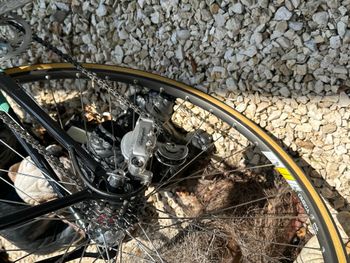 Used Bianchi Argentin x4 1988 Road & Gravel, Green — image 11 of 18