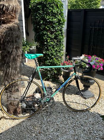 Used Bianchi Argentin x4 1988 Road & Gravel, Green — image 1 of 18