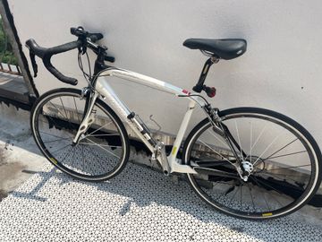 Used Specialized Roubaix Expert 2009 Road & Gravel, White — image 2 of 8