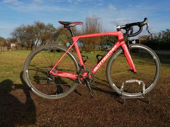 Bottecchia - T2, 2017