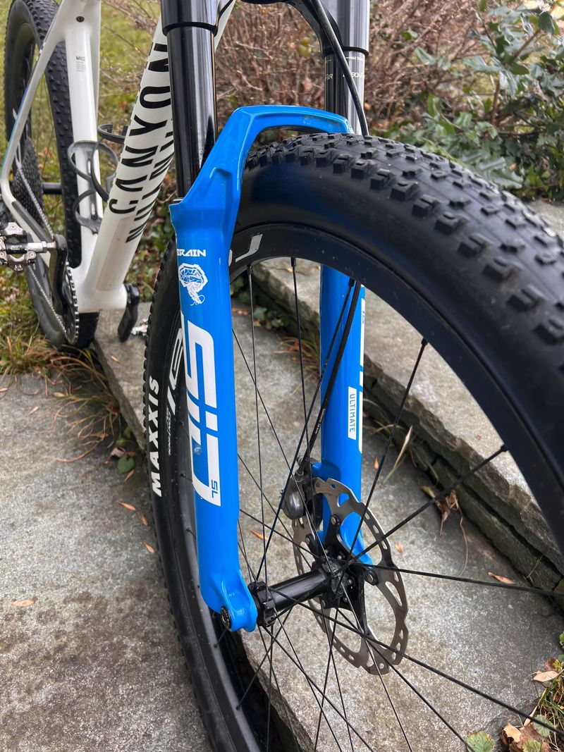 Gebrauchtes Canyon Exceed CFR Team 2021 2021 Mountainbike, Weiß, 29 — Bild 4 von 4