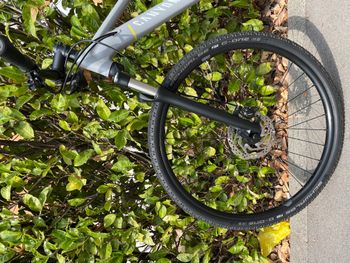 Used Canyon Pahtlite 6 WMN 2021 Mountainbike, Light Gray — image 5 of 6