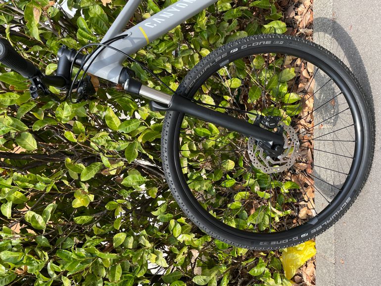 Used Canyon Pahtlite 6 WMN 2021 Mountainbike, Light Gray — image 5 of 6