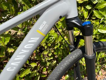 Used Canyon Pahtlite 6 WMN 2021 Mountainbike, Light Gray — image 6 of 6