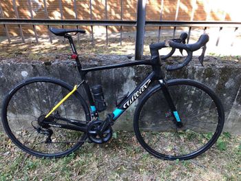 Wilier - GARDA SHIMANO ULTEGRA R8020 2022, 2022