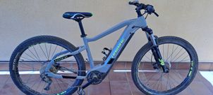 Haibike - HardNine 6 2021, 2021