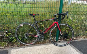 Giant - TCR Advanced  3, 2019