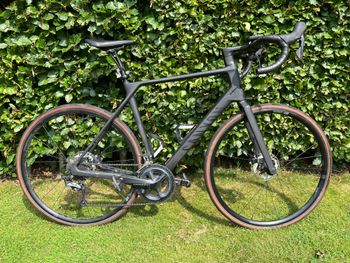 Canyon - Endurace CF 8 LTD 2023, 2023