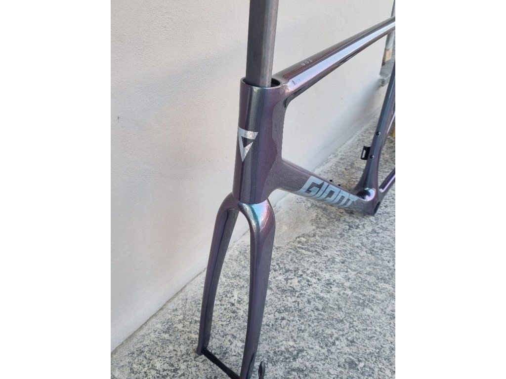 Giant advanced pro frameset on sale