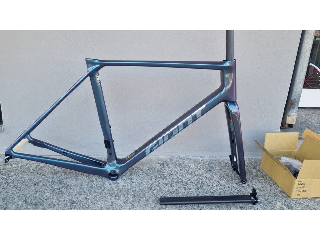 Giant tcr advanced pro frameset online