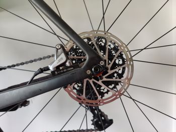 Used Lauf True Grit Race 2019 Road & Gravel — image 10 of 20