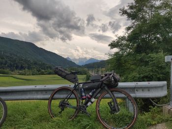 Used Lauf True Grit Race 2019 Road & Gravel — image 12 of 20