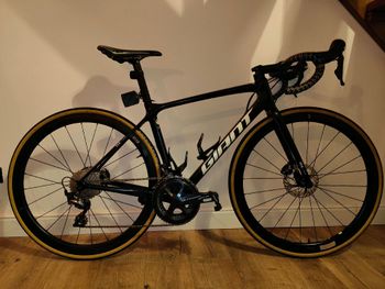 Giant - TCR Advanced Pro Team Disc 2021, 2021