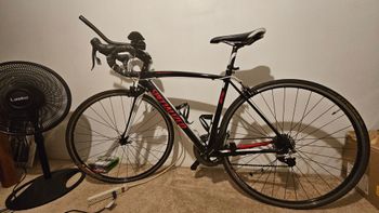 Specialized - Allez Comp Race 2015, 2015