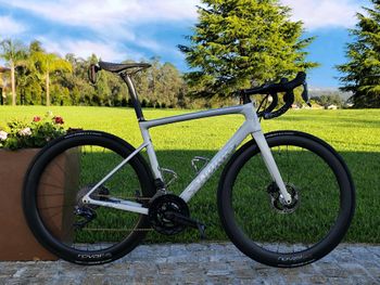 Specialized - S-Works Tarmac Disc – Sagan Collection Overexposed LTD 2020, 2020