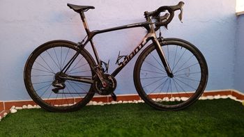 Giant - TCR Advanced SL 2 2020, 2020